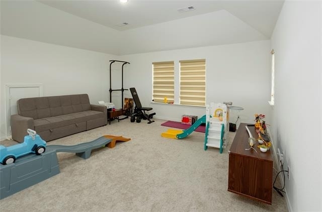 1308 Porizek Place - Photo 10