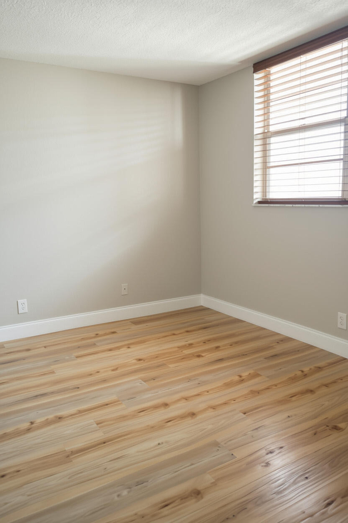 9311 Orange Grove Drive - Photo 11