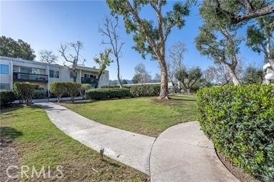 23515 Lyons - Photo 8
