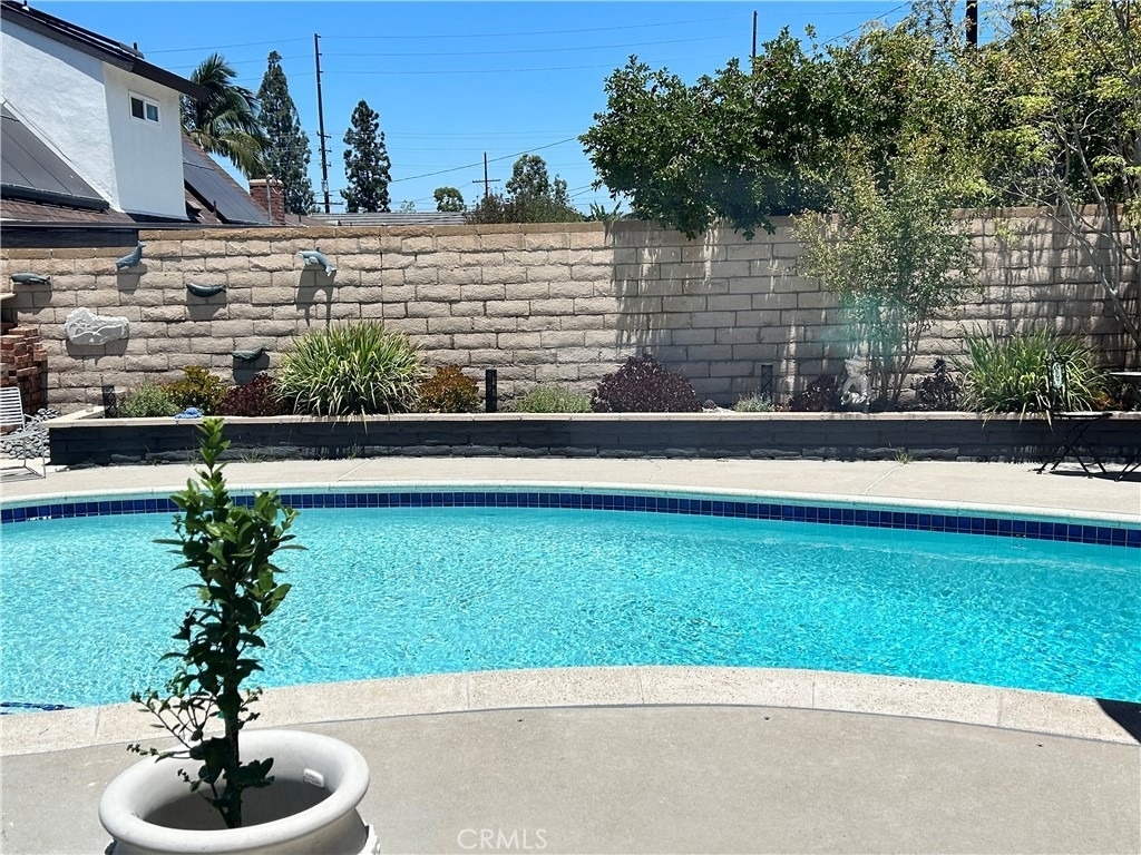 23646 Dune Mear - Photo 8