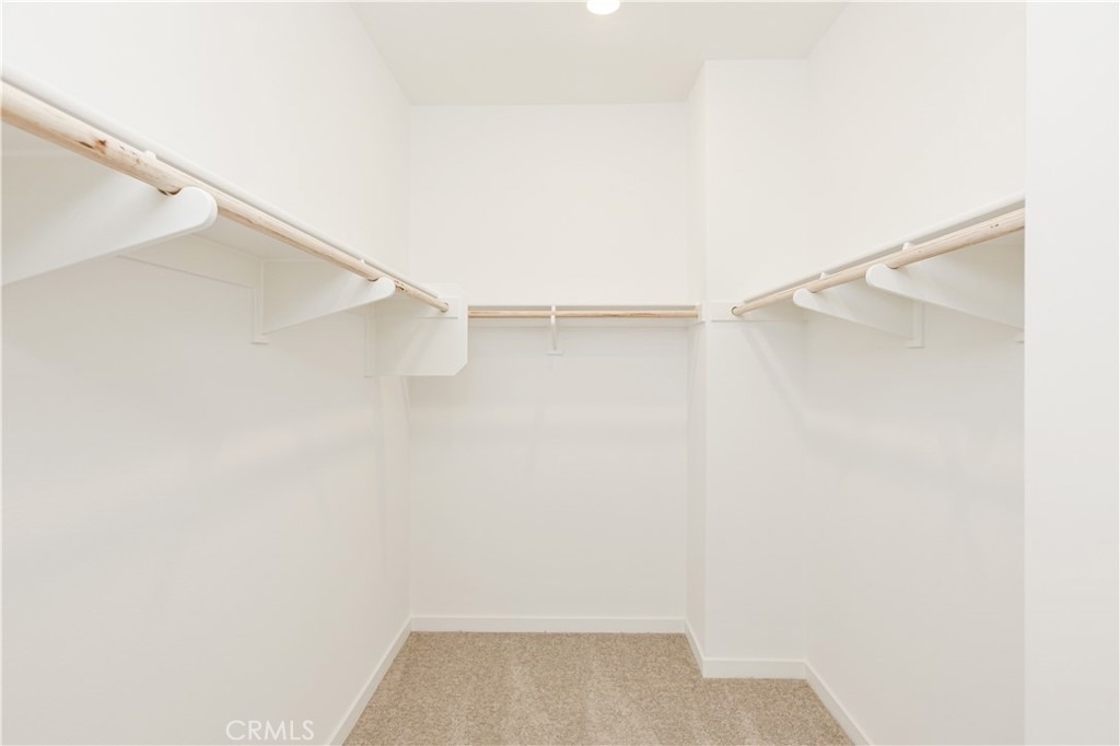 26663 Viola Way - Photo 28