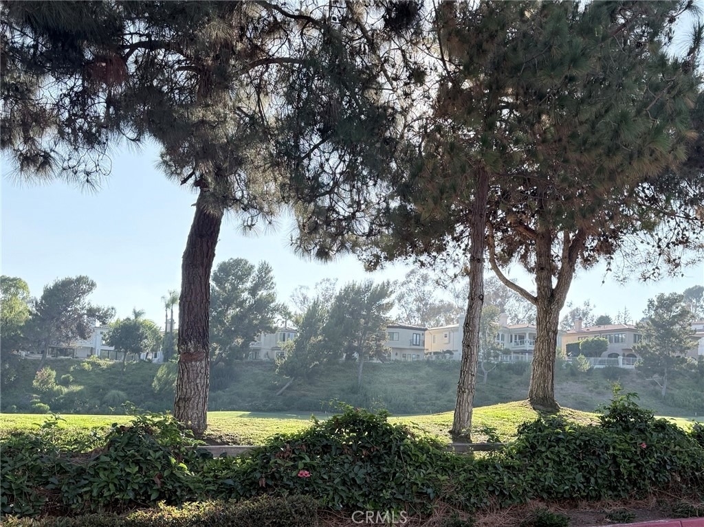 1 Plaza Baja Del Sol - Photo 1