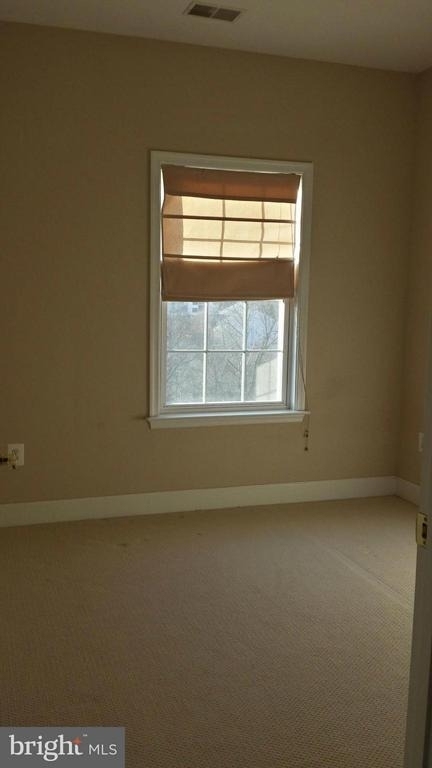 715 Hidden Marsh Street - Photo 12