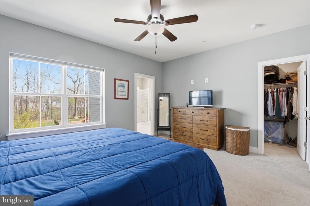 2658 Sequoia Lane - Photo 15