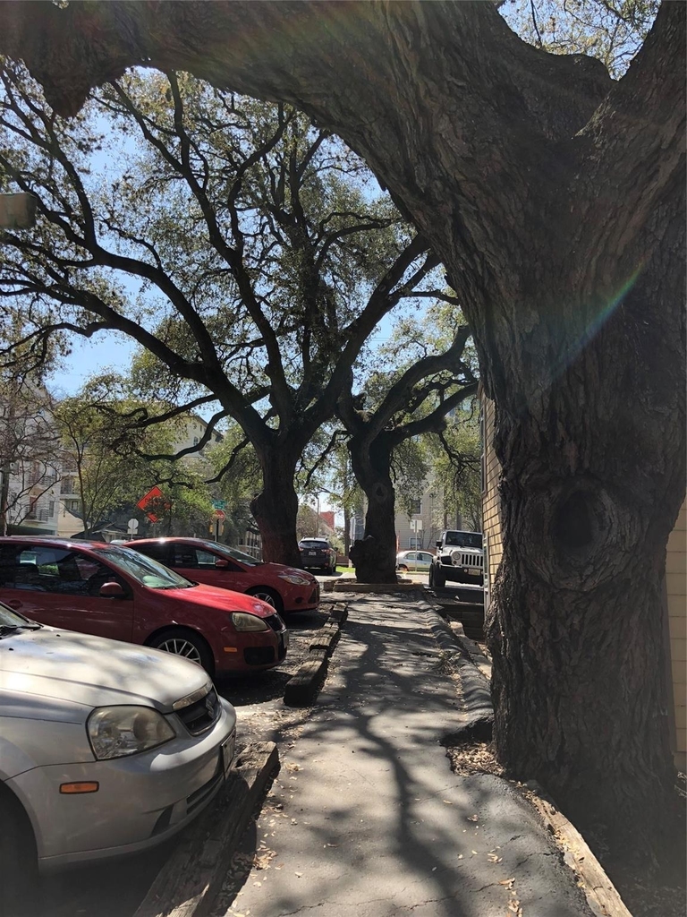 1000 W 26th St - Photo 16