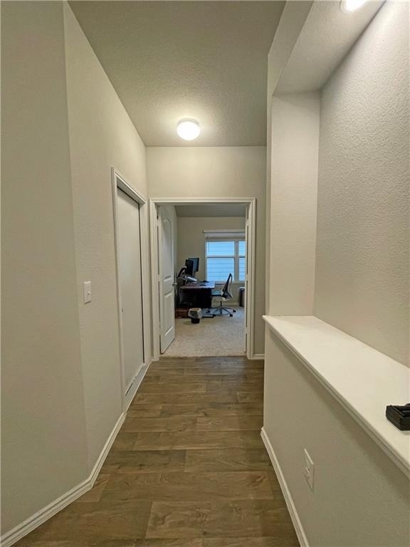 5825 Shanjia Dr - Photo 18