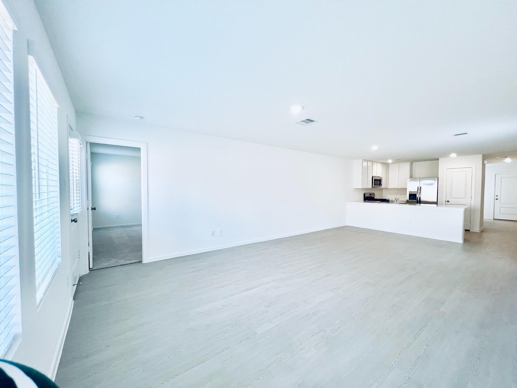 1367 Diamond Carnation Drive - Photo 1