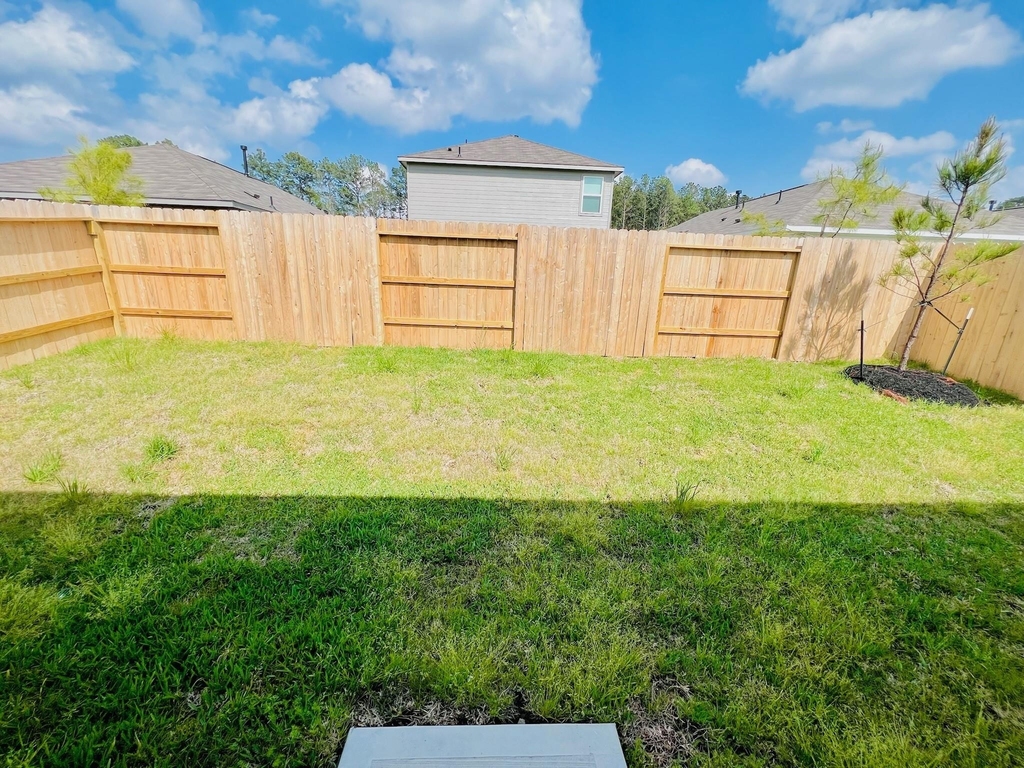 1367 Diamond Carnation Drive - Photo 10