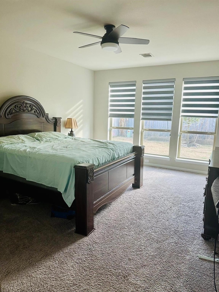 18531 Wolf Mountain Lane - Photo 8