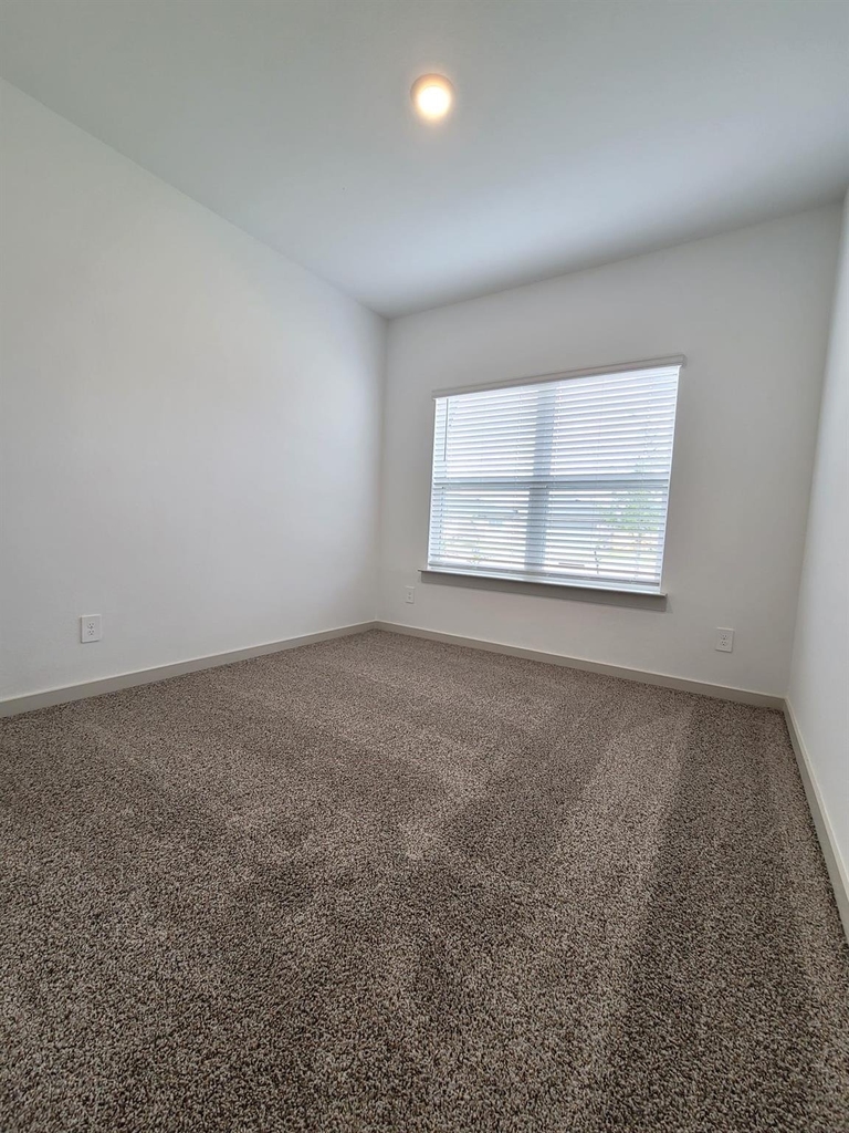 4915 Pine Haven Lane - Photo 9