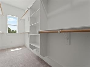 4808 Cochran Street - Photo 12