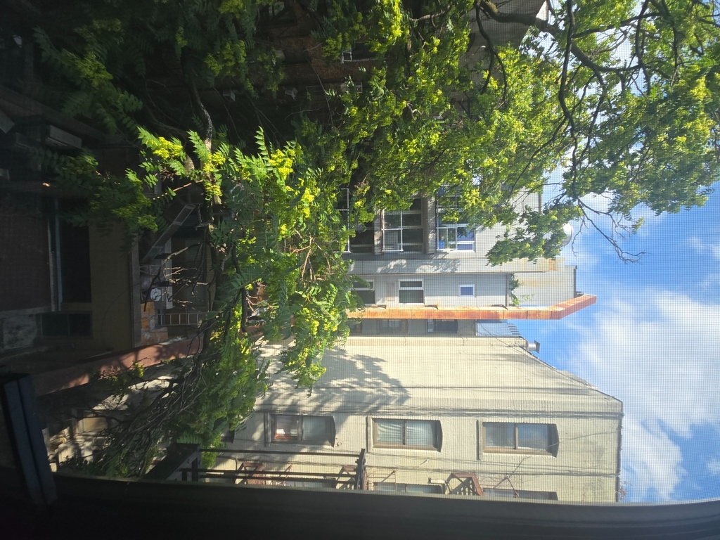 West 52nd St Between 8th/9th Avenues - Photo 5