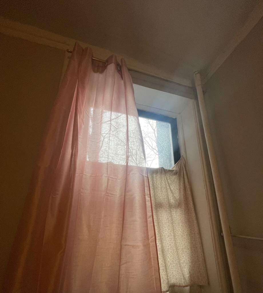 358 West 51st Street - Photo 2