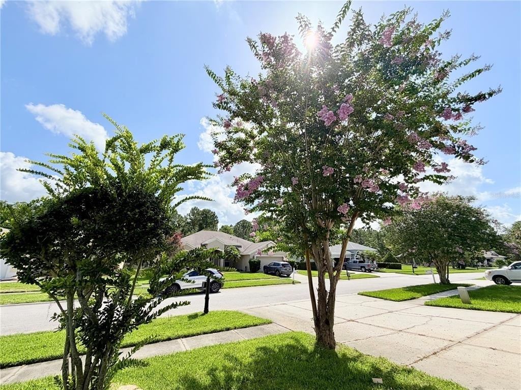 14606 Coral Berry Drive - Photo 38