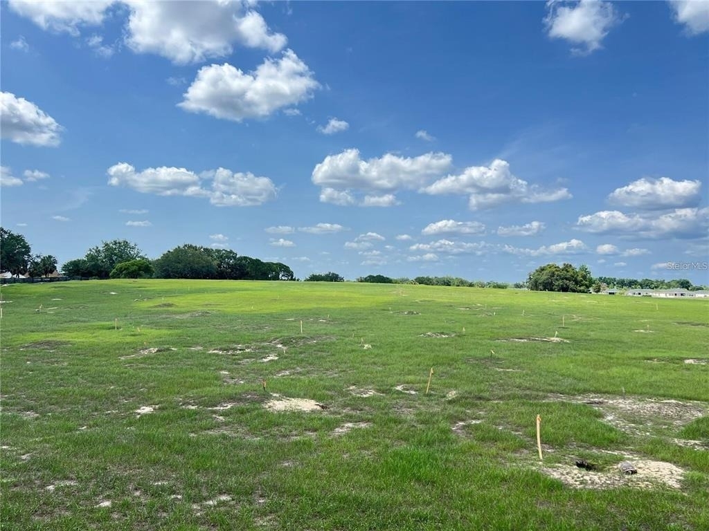 2913 Panchos Way - Photo 31