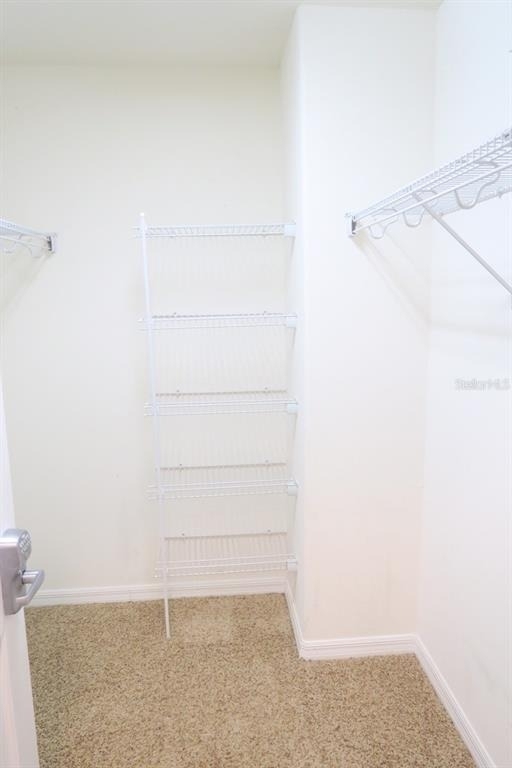 12029 Citruswood Drive - Photo 16
