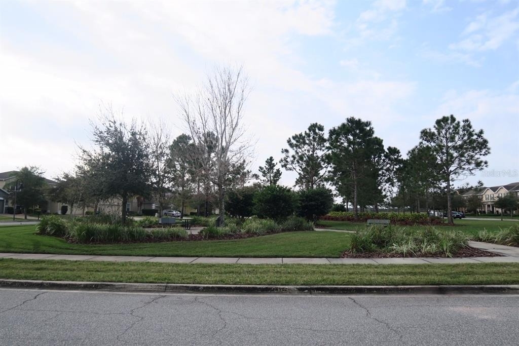 12029 Citruswood Drive - Photo 22