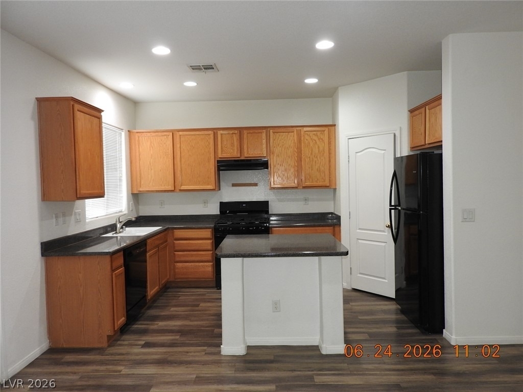 521 Dolphin Peak Court - Photo 11