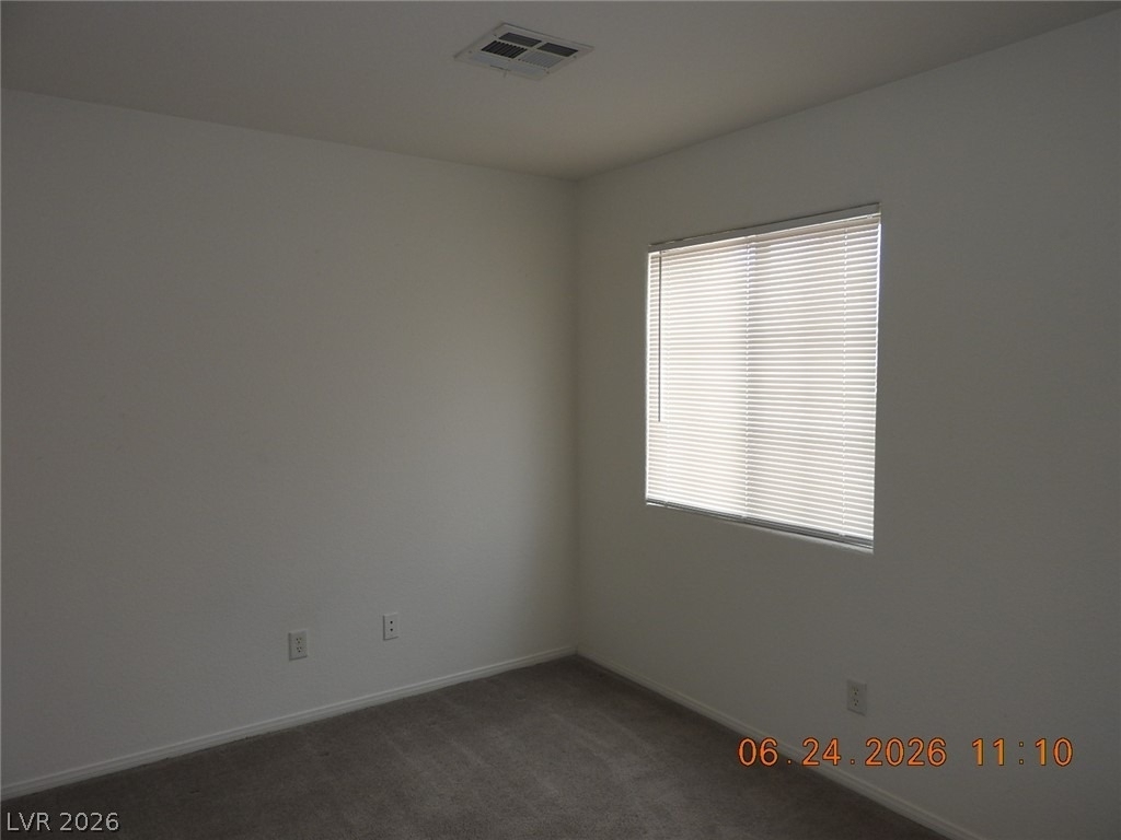 521 Dolphin Peak Court - Photo 28
