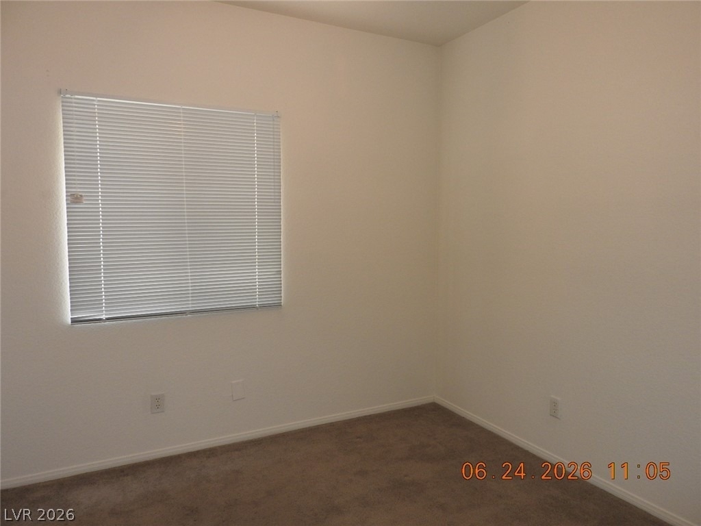 521 Dolphin Peak Court - Photo 17