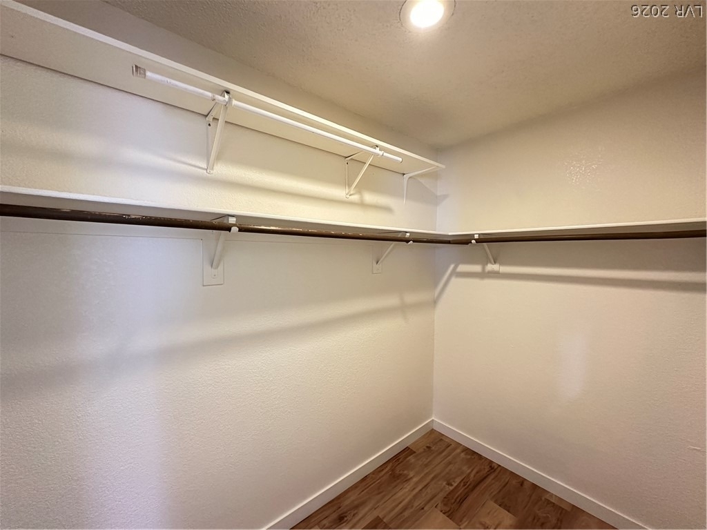 3822 Flickering Star Drive - Photo 14