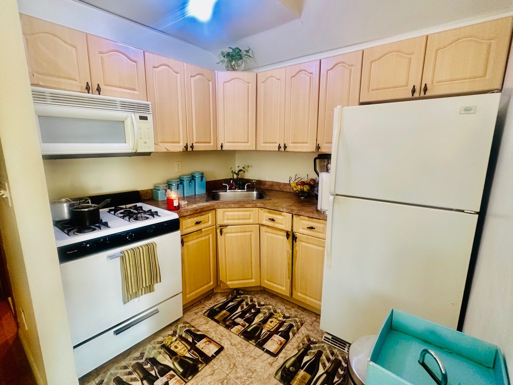 1033 East 58th Street - Photo 2