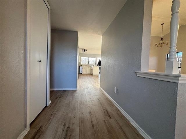 7921 Freeland Drive - Photo 2