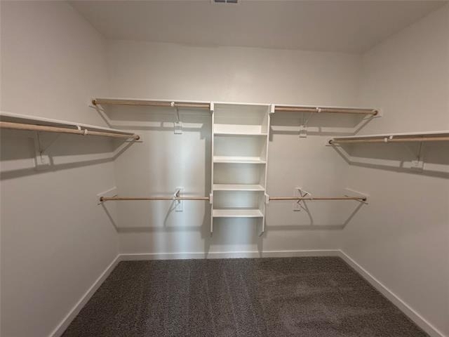 1233 Wolfsbane Drive - Photo 12
