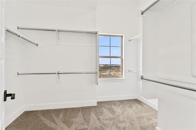 1101 Marc Lane - Photo 17