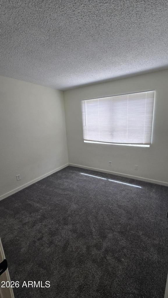 1447 N 53rd Drive - Photo 17
