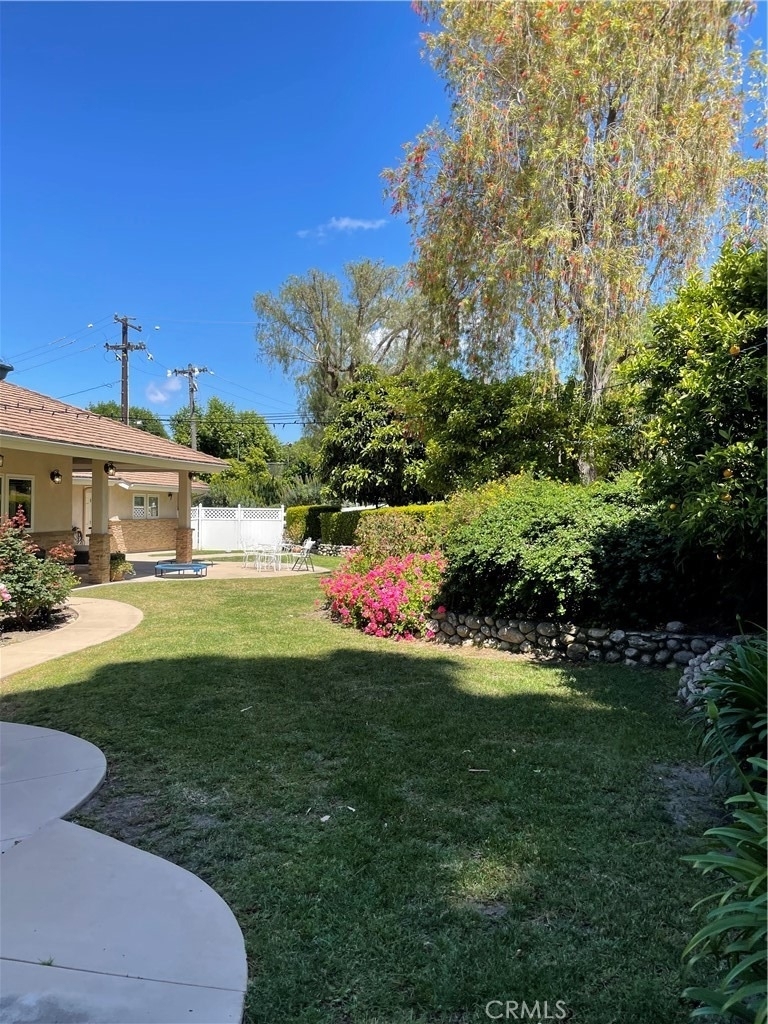 6 Singletree - Photo 6
