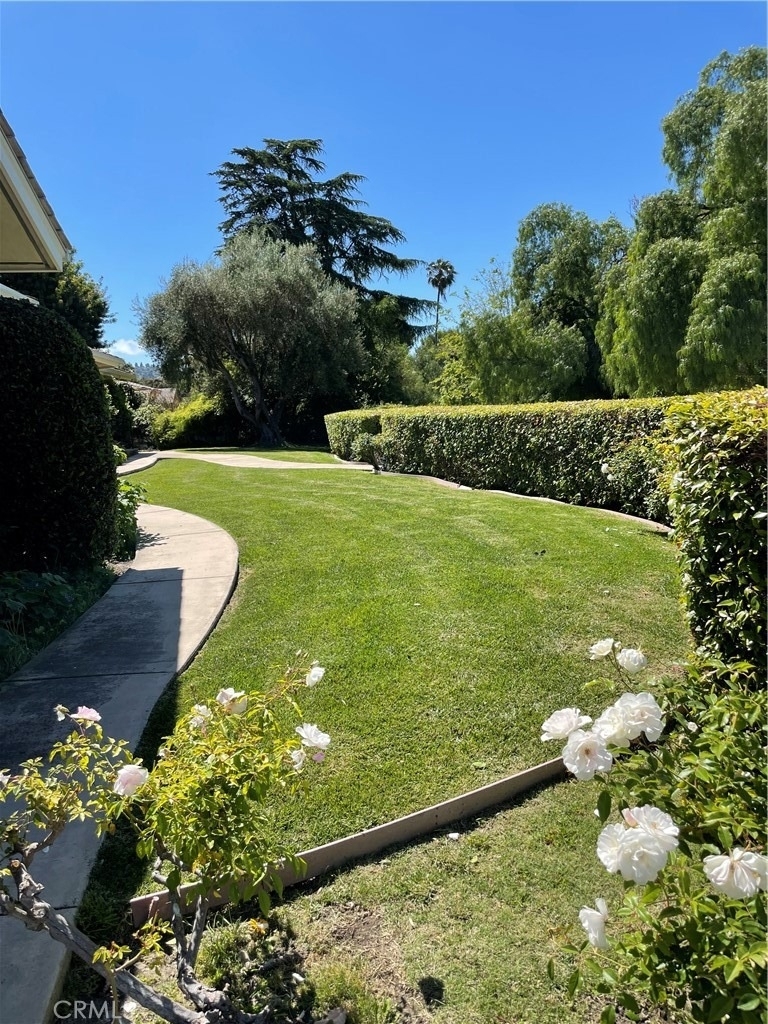 6 Singletree - Photo 7
