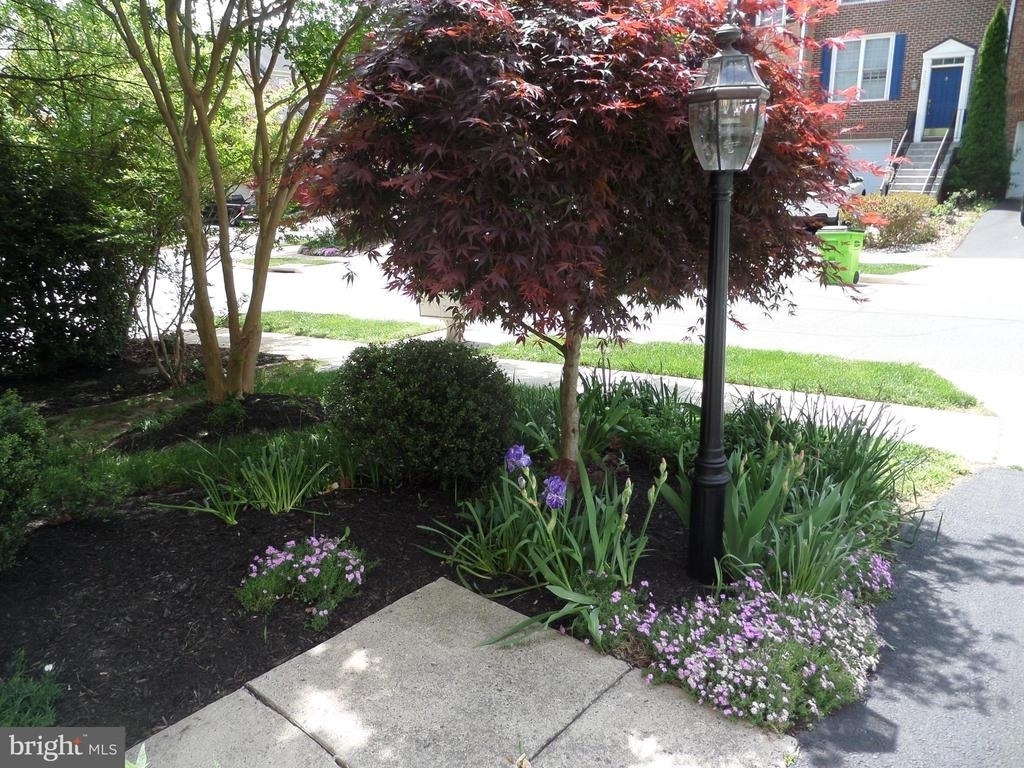 43762 Lees Mill Square - Photo 42