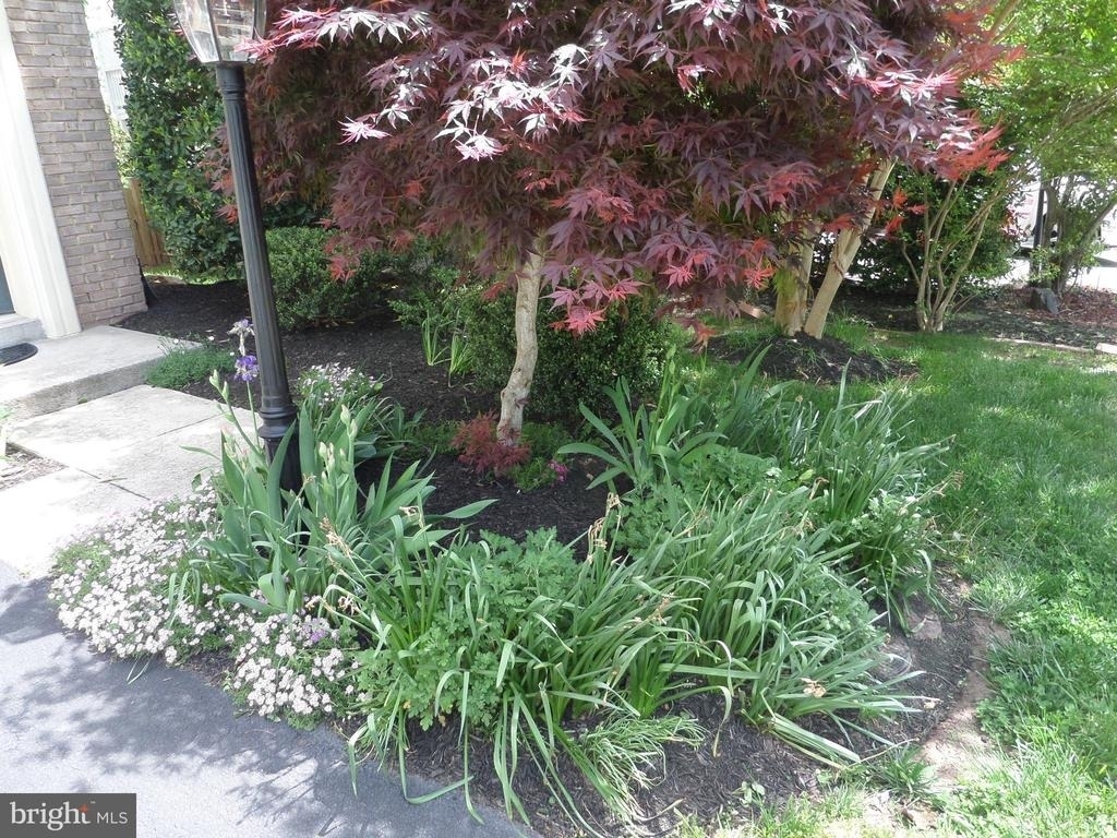 43762 Lees Mill Square - Photo 41