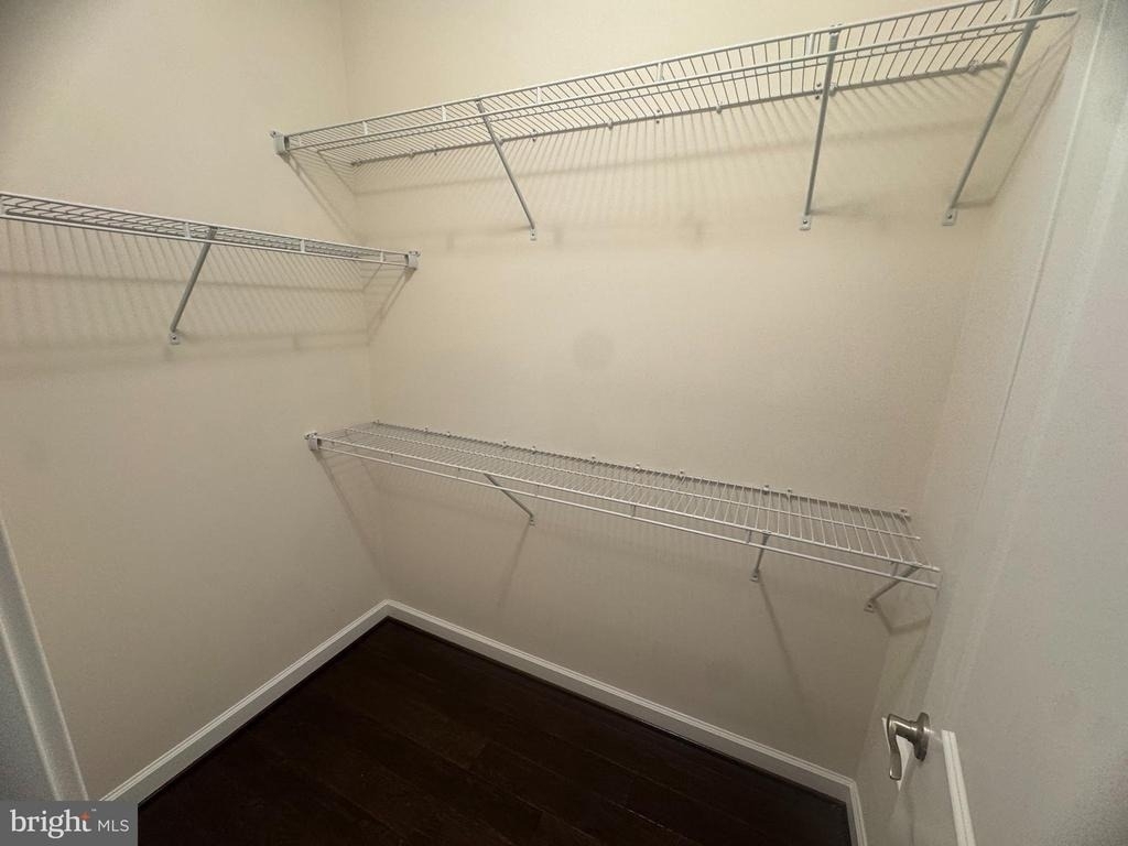 3165 Virginia Bluebell Court - Photo 29