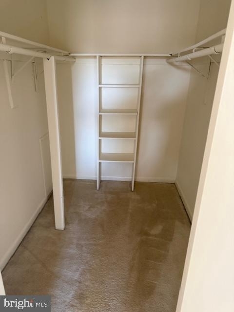 5860 Thunder Hill Road - Photo 20
