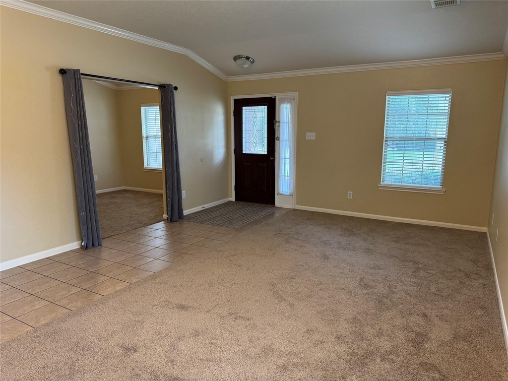 21307 Springbrook Hollow Court - Photo 1