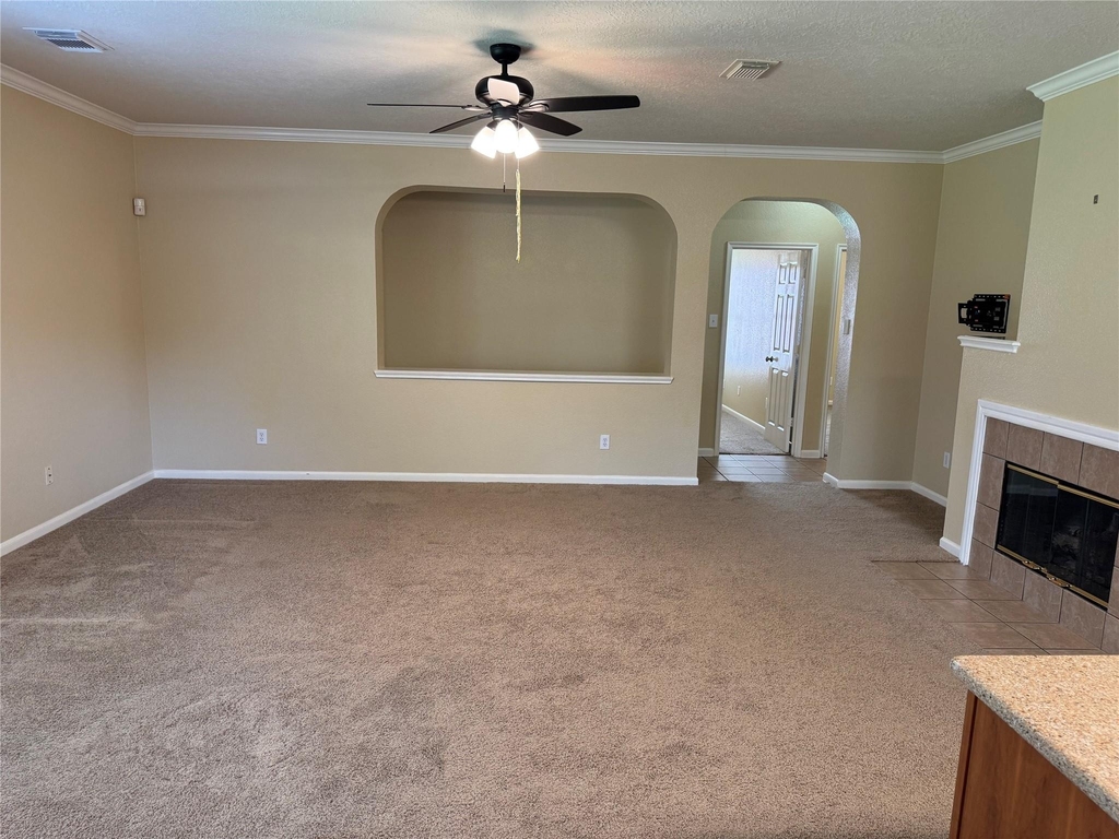 21307 Springbrook Hollow Court - Photo 8