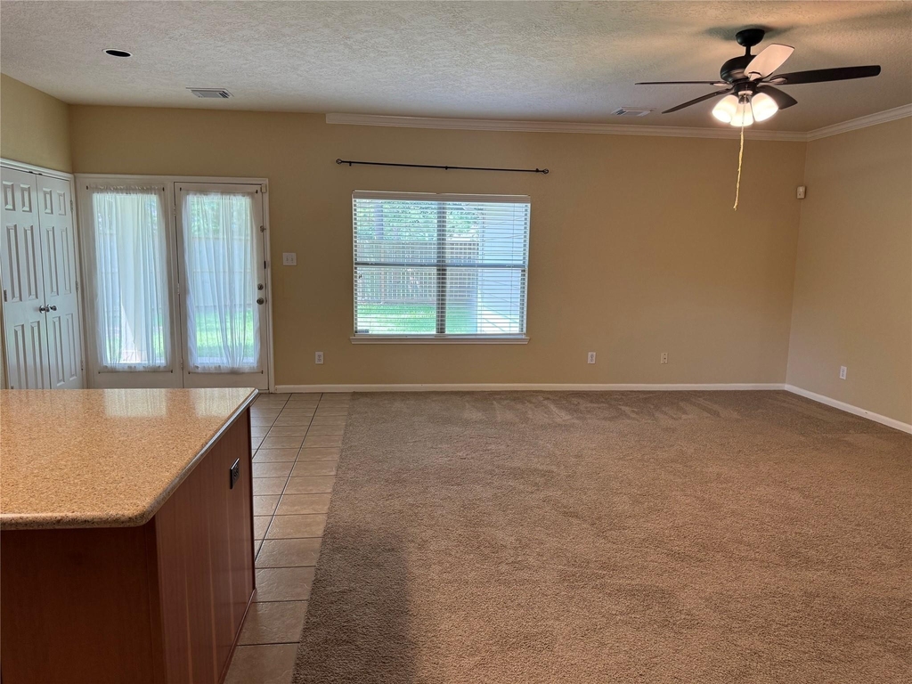 21307 Springbrook Hollow Court - Photo 9