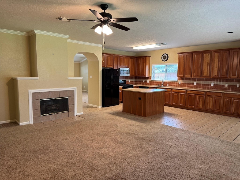 21307 Springbrook Hollow Court - Photo 10