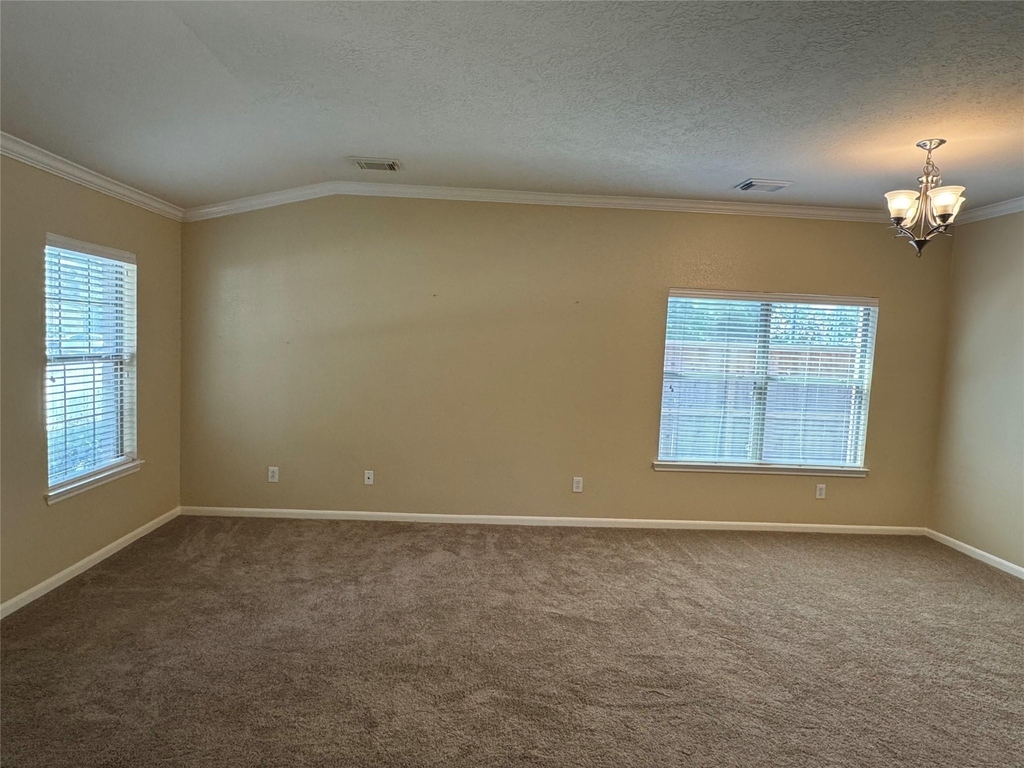 21307 Springbrook Hollow Court - Photo 6
