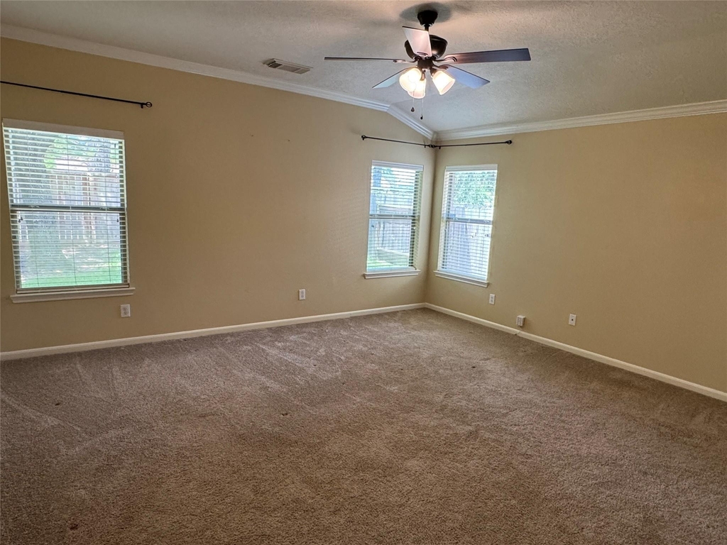 21307 Springbrook Hollow Court - Photo 13