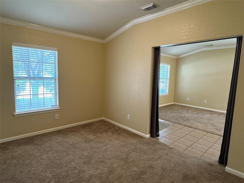 21307 Springbrook Hollow Court - Photo 4