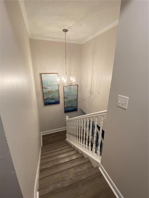 14405 Burgundy Square - Photo 10