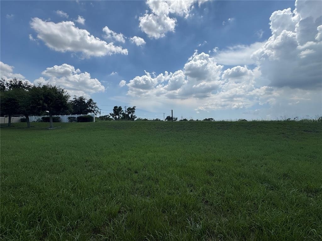 317 Down Pine Drive - Photo 3