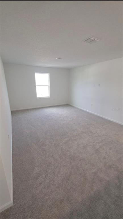 1326 Belle Isle Lane - Photo 6