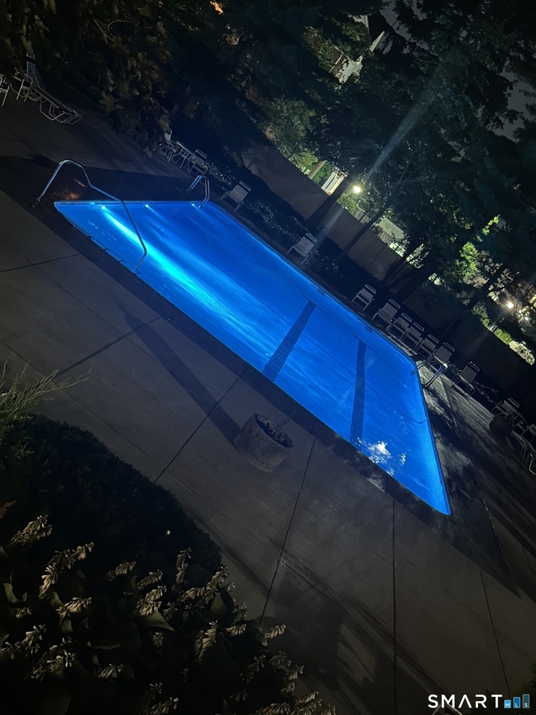 31 Woodland Street - Photo 8