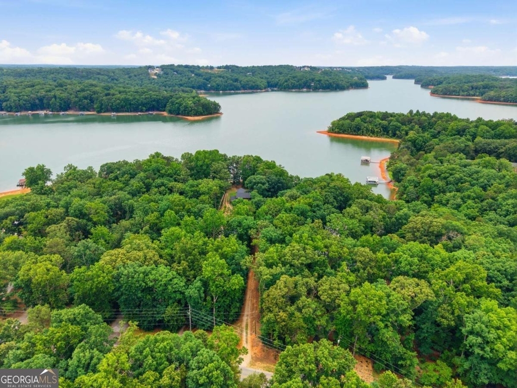 3349 Chestatee Road - Photo 1