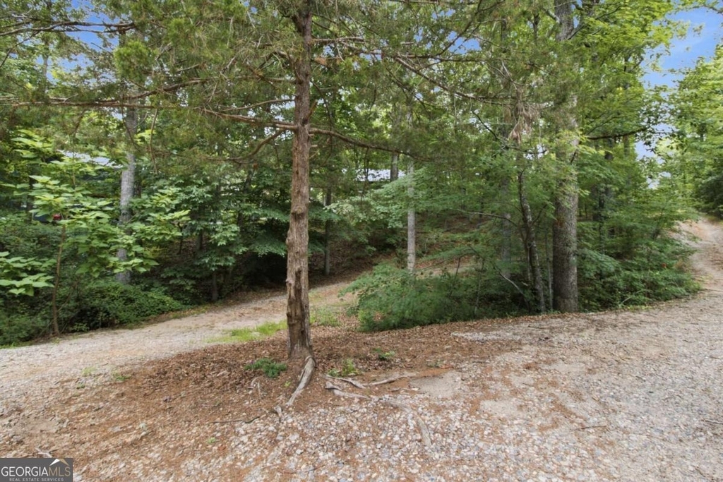 3349 Chestatee Road - Photo 16