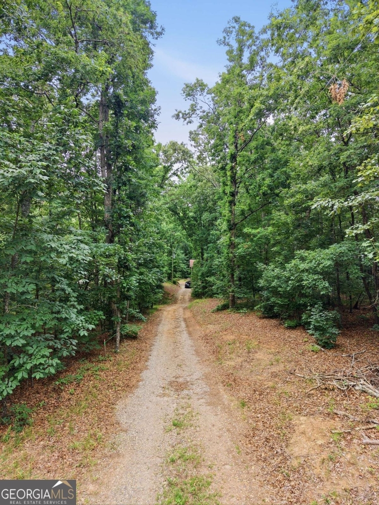 3349 Chestatee Road - Photo 3